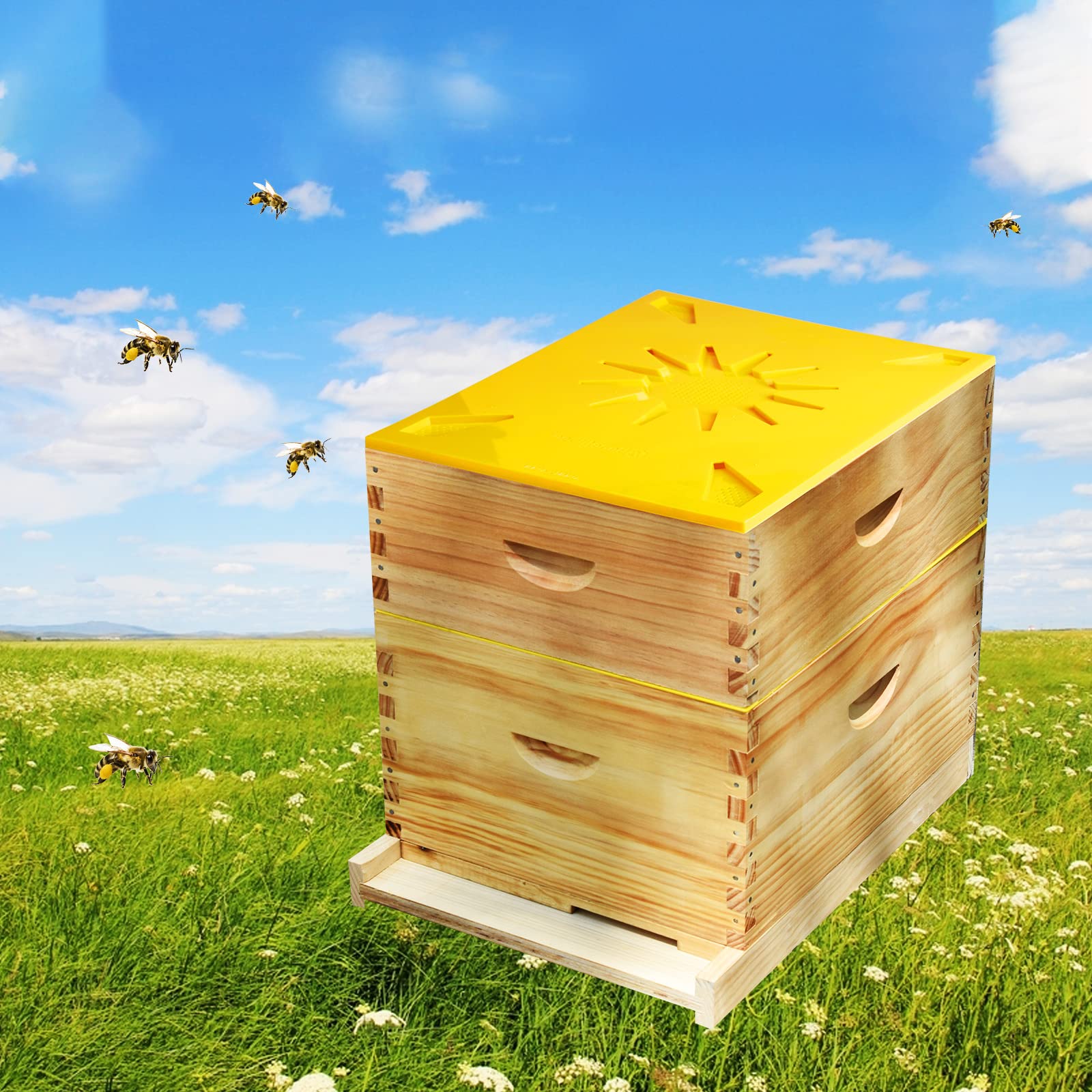 Amazon.com: Beehive Inner Cover Multifunction 10 Frame